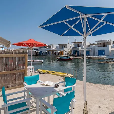 Fani Dream 2 & 3 Pachaina